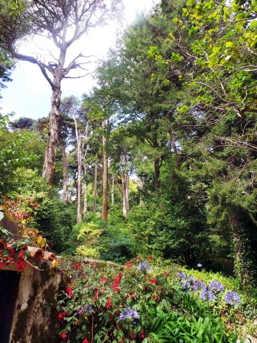 1-sintra park going uphill